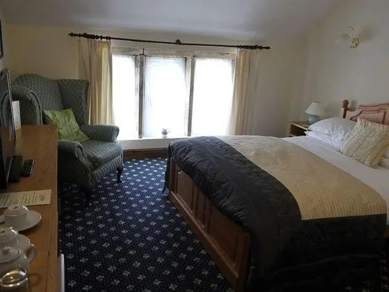 Standard Tek Büyük Yataklı Oda, Banyolu/Duşlu