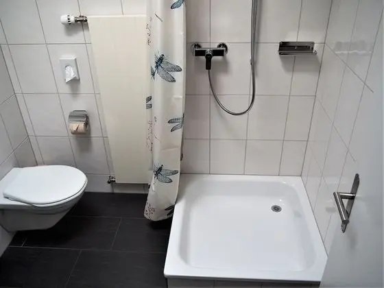 Tek Büyük Yataklı Oda, Banyolu/Duşlu (2 pax)