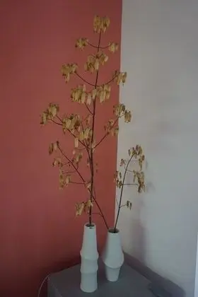 Gallery Tek Büyük Yataklı Oda