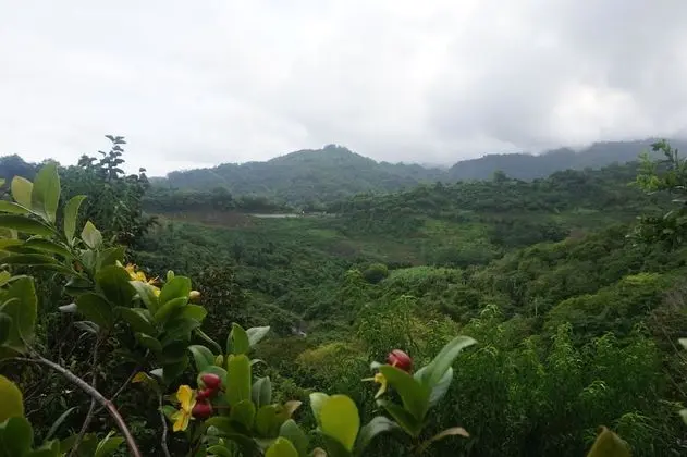 Signature Tek Büyük Yataklı Oda