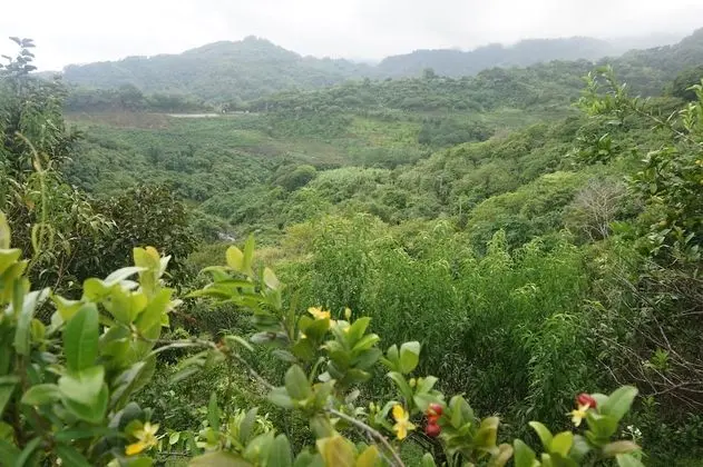 Signature Tek Büyük Yataklı Oda