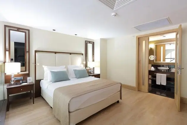 https://images.etstur.com/files/images/hotelImages/TR/220338/l/Juju-Premier-Palace-Oda-382105.jpg