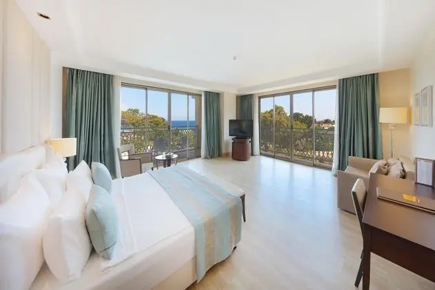 https://images.etstur.com/files/images/hotelImages/TR/220338/l/Juju-Premier-Palace-Oda-382139.jpg