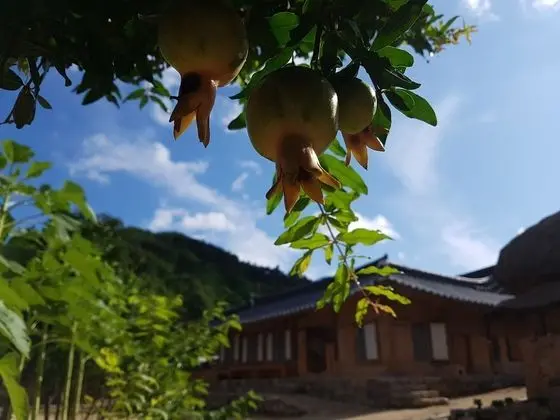 Oda, 2 Yatak Odası (Jookhyeon Dong Nong)