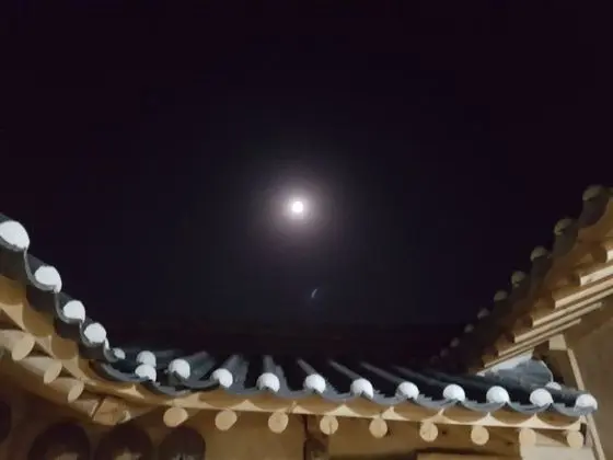 Tek Büyük Yataklı Oda (Seojae)