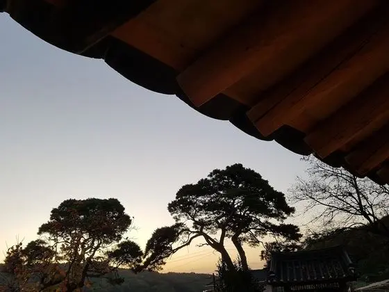 Tek Büyük Yataklı Oda (Seojae)