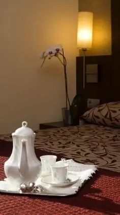 Superior Tek Büyük Yataklı Oda