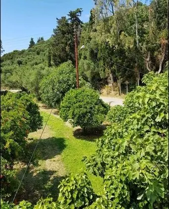 Luxury Apart Daire, 1 Yatak Odası