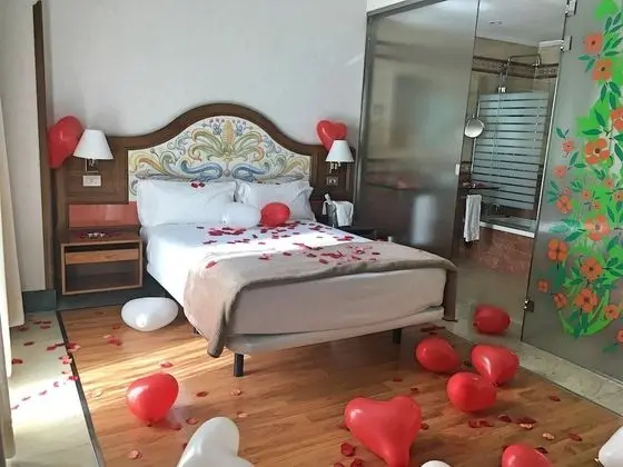 Standard Tek Büyük Yataklı Oda, Sigara İçilmez
