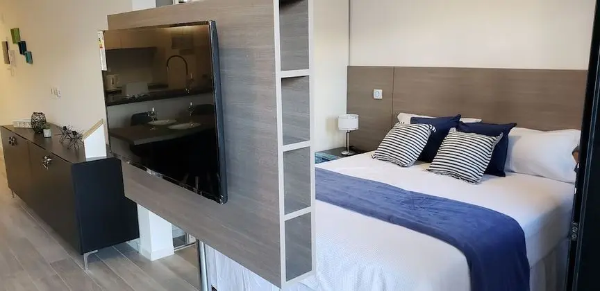 Deluxe Stüdyo, 1 Yatak Odası, Özel Banyo