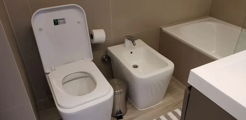 Deluxe Stüdyo, 1 Yatak Odası, Özel Banyo