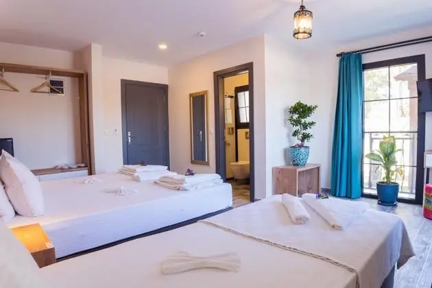 Executive Oda, Bahçe Manzaralı, Fransız Balkonlu