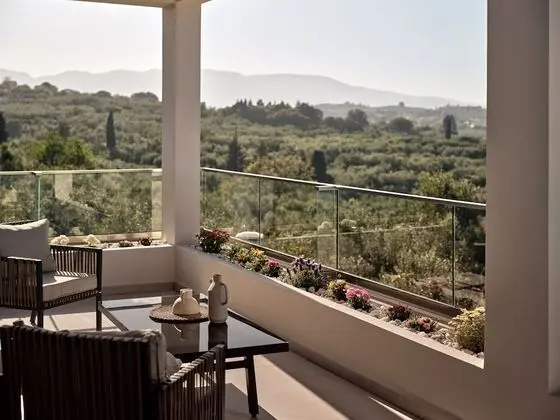 Luxury Villa