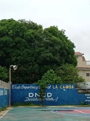 Apart Daire, 1 Yatak Odası, Sigara İçilebilir, Balkon