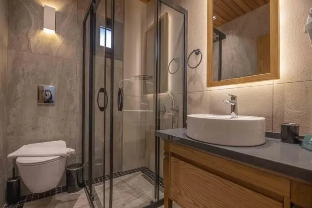Standart Oda, Bahçe veya Sokak Manzaralı, Fransız Balkonlu
