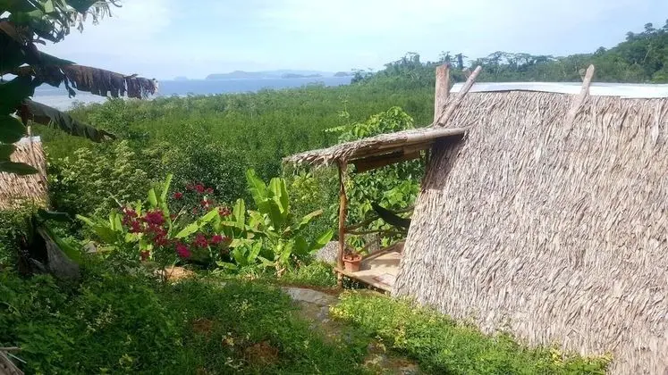 Basic Ağaç Ev, 2 Yatak Odası, Deniz Manzaralı, Okyanusa Sıfır