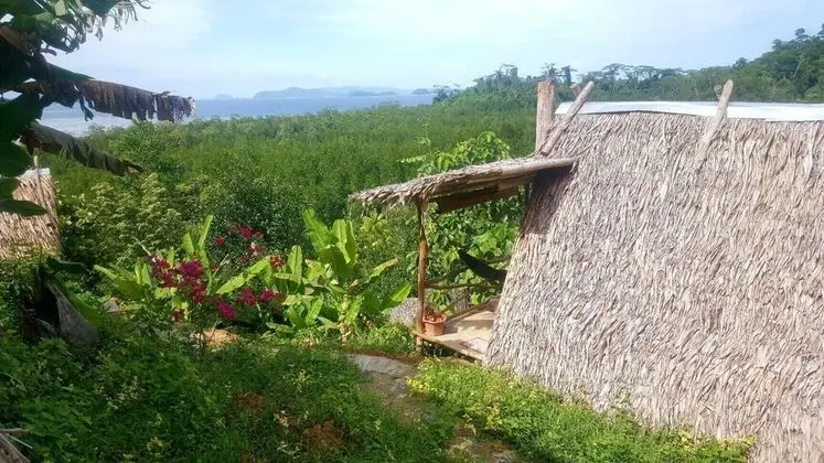 Panoramic Oda