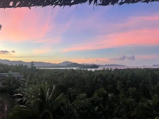 Panoramic Oda