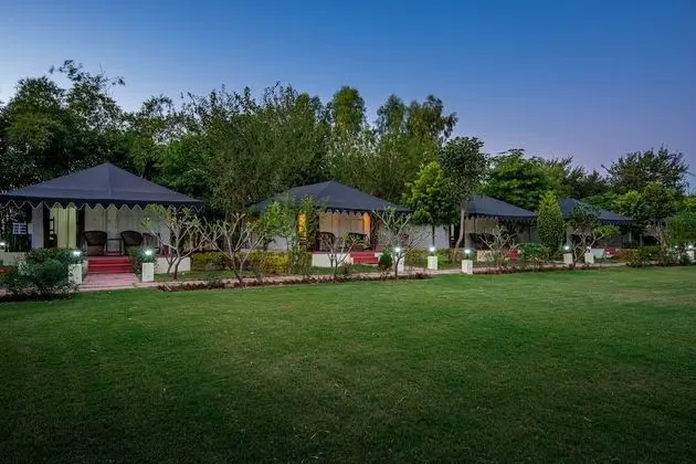 Luxury Çadır