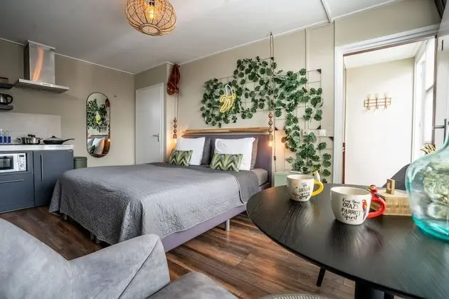 Deluxe Stüdyo Süit