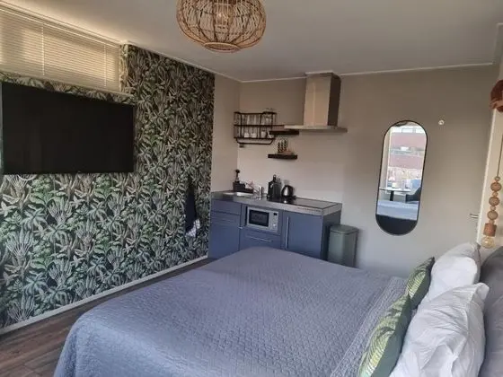 Deluxe Stüdyo Süit