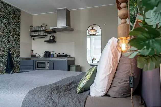 Deluxe Stüdyo Süit