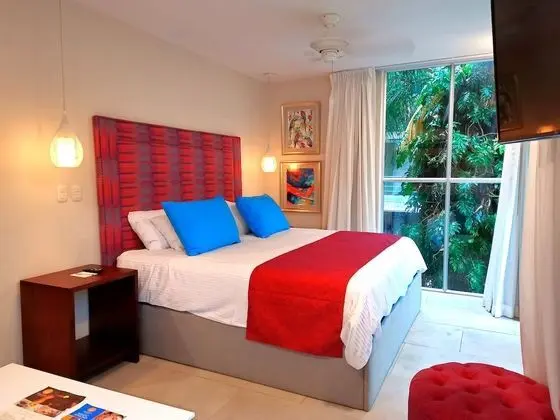 Iguana Suite