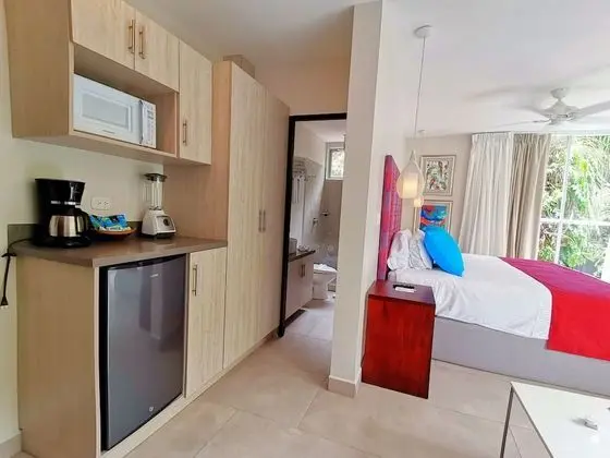Iguana Suite