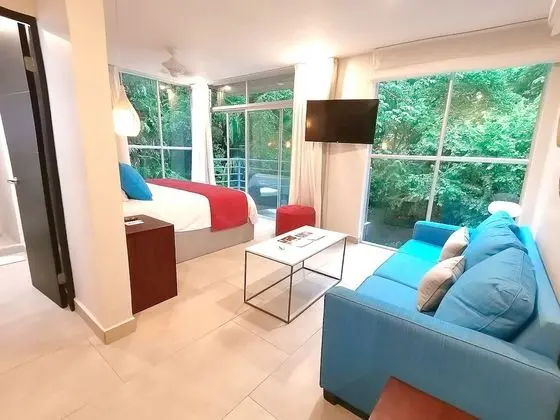 Iguana Suite