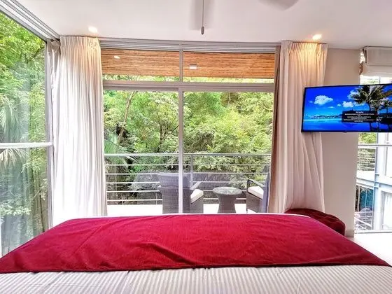 Iguana Suite