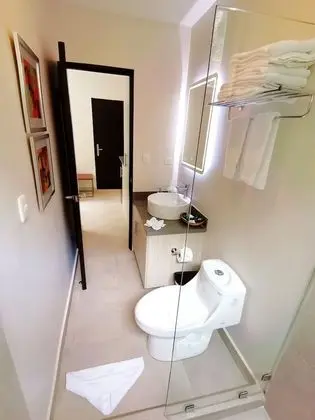 Iguana Suite