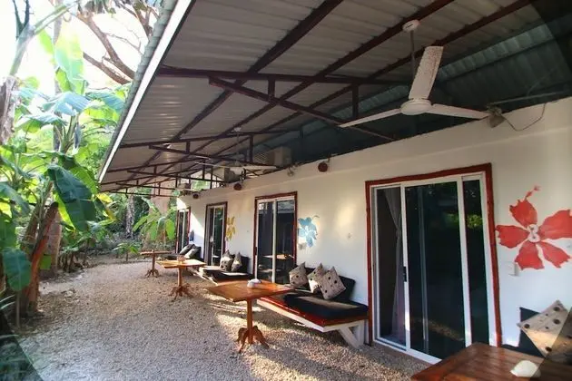 Jungle Room