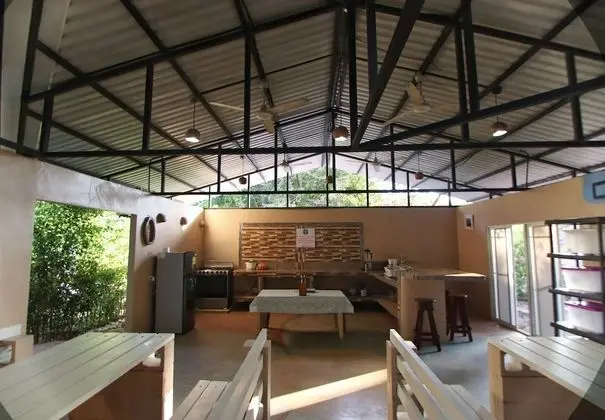Jungle Room