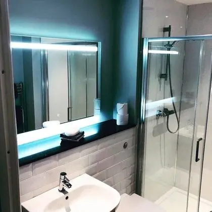 Deluxe Tek Büyük veya İki Ayrı Yataklı Oda, Banyolu/Duşlu