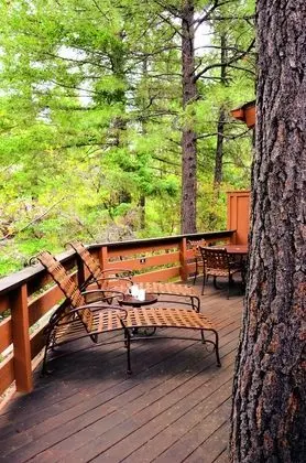 Villa, 2 Yatak Odası, Mutfak (Forest View)