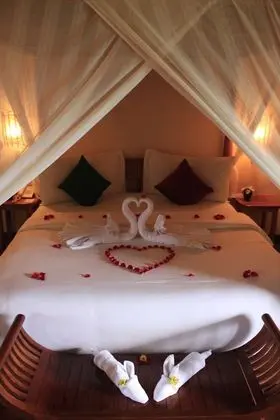 Deluxe Tek Büyük veya İki Ayrı Yataklı Oda (with Free Afternoon Tea)