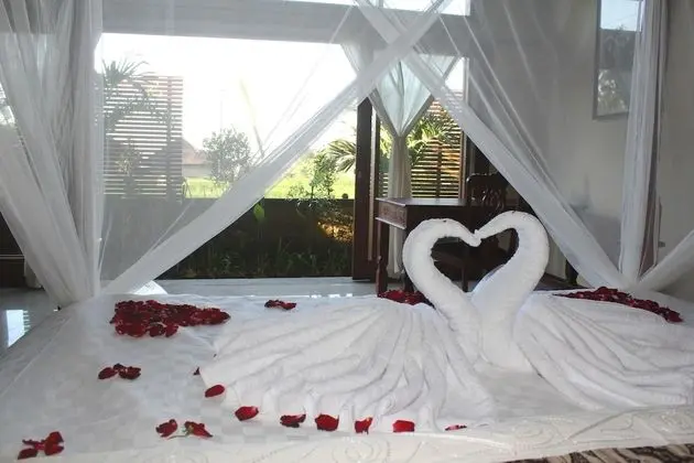 Villa, 1 Yatak Odası