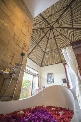 Villa, 1 Yatak Odası