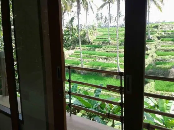 Odadan Manzara