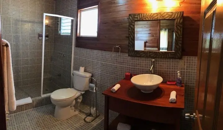 Basic Tek Kişilik Oda, 1 En Büyük (King) Boy Yatak