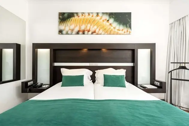 Superior Tek Büyük veya İki Ayrı Yataklı Oda, Kısmi Deniz Manzaralı