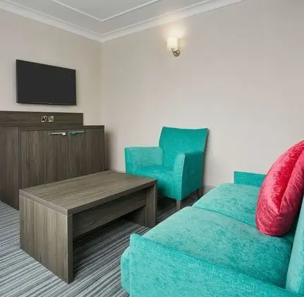 Executive Tek Büyük Yataklı Oda (with Sofa Bed)
