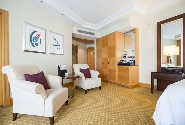 Executive Oda, 1 En Büyük (King) Boy Yatak, Sigara İçilebilir, Şehir Manzaralı