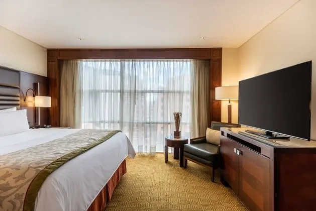 Deluxe Oda, 1 En Büyük (King) Boy Yatak