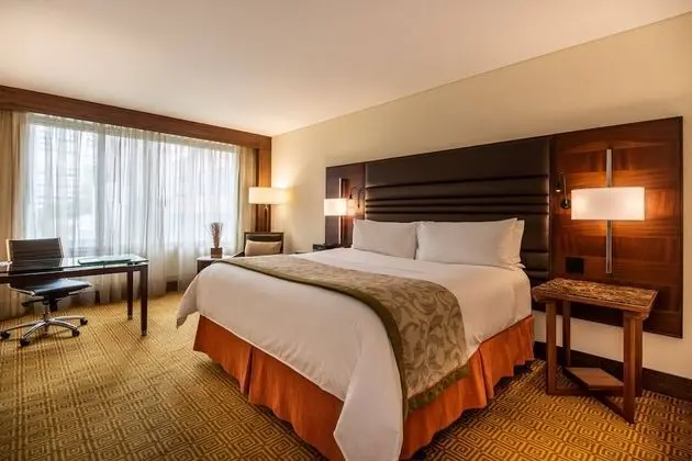 Deluxe Oda, 1 En Büyük (King) Boy Yatak