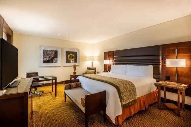 Deluxe Oda, 1 En Büyük (King) Boy Yatak