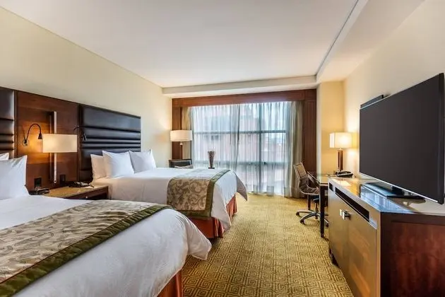 Deluxe Oda, 2 Çift Kişilik Yatak