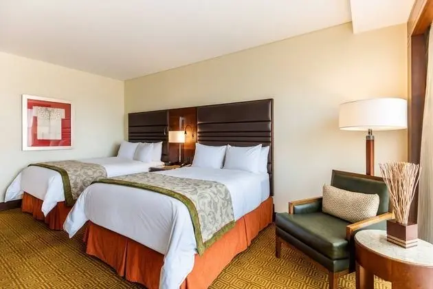 Deluxe Oda, 2 Çift Kişilik Yatak