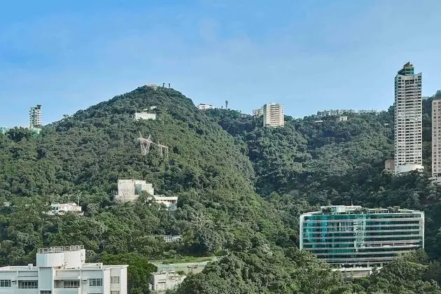 Executive Room, 1 King Bed, City View