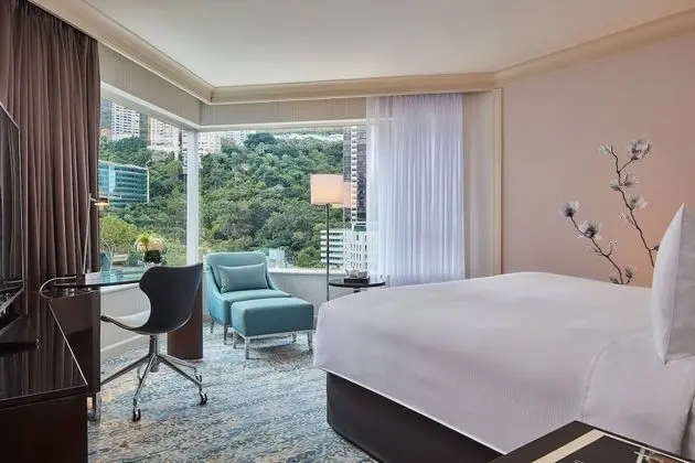 Oda, 1 En Büyük (King) Boy Yatak, Sigara İçilmez, Şehir Manzaralı